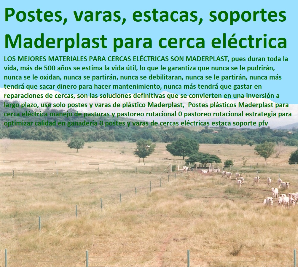 Postes Y Tablas de PET Corrales Horcones Estacones Polines Varetas de PET 0 poste o estaca para cercado Maderplast 0 tablón plástico para corrales 0 intera postes plásticos precios 0 Pesebreras De Caballos, Plaza Toros, Brete Ganadero, Apretaderos Embarcaderos, Postes Tablas, Corral Caballerizas, Polines Varetas, Mangas De Coleo, Horcones Madera Plástica, Corrales, Establos De Ganado, Mangas De Coleo, postes plásticos de Madera Plastica posteadura plástica Postes Y Tablas de PET Corrales Horcones Estacones Polines Varetas de PET 0 poste o estaca para cercado Maderplast 0 tablón plástico para corrales 0 intera postes plásticos precios 0 postes plásticos de Madera Plastica posteadura plástica